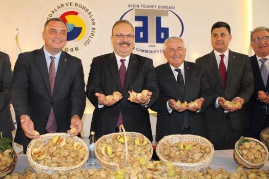 Aydın'da kuru incir sezonu açıldı: Yeni mahsul ilk günden rekor kırdı