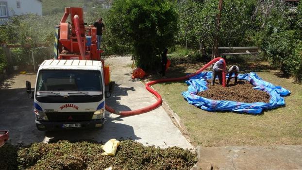 Zorlu fındık hasadı bitti, şimdi Patozcuların zamanı! Ordu'da saatlik ücretler belli oldu