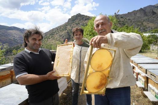 Gümüşhane'de bal hasadı yapıldı: Üreticinin yüzü güldü