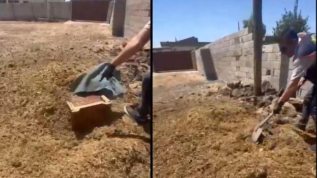 Mardin'de amcalarının altın dolu çelik kasasını çalan kardeşler hayvan gübresinin altına sakladı!