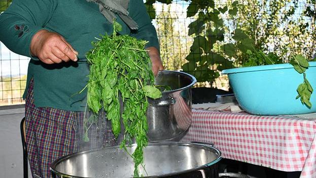 Bilecikli kadın kaynatıp içtiği nane suyundan ilham alarak girişimci oldu! İstanbul, Bursa, Eskişehir ve Sakarya'dan özel müşterileri var