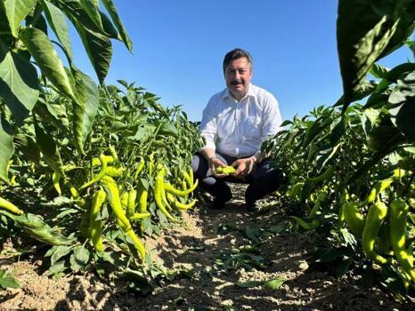 Bursa'ya dev OSB kurulacak! 12 bin kişiye istihdam sağlayacak: 250 firma faaliyet gösterecek