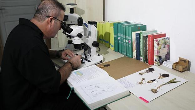 Köyde mantar toplarken keşfetti! Fotoğrafını çekince gerçek ortaya çıktı: Dünyada daha önce görülmedi