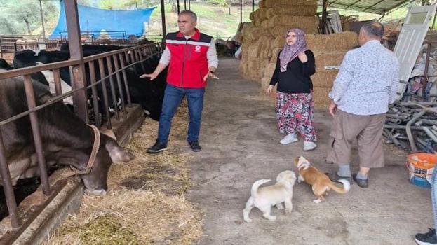 Bir kursla başladı! Kendi işletmesini kurdu, kazancı katlandı: Kadın girişimcinin büyük başarısı