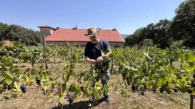 20 dönümlük çöp araziyi hazineye çevirdi! Filmde gördüğünü yaptı: Sadece 8 tanesi 6 ton veriyor