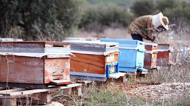 Babasının hediyesiyle hobi olarak başladı şimdi siparişlere yetişemiyor: Kazancını katladı