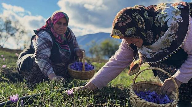 Eken senesinde ev araba alıyor! Gramı 600 TL'den satılıyor, kapış kapış gidiyor