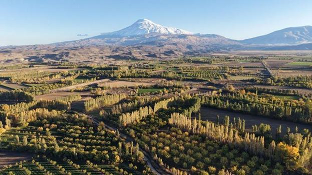 Ağrı Dağı eteklerinde renk şöleni! Iğdır İrem Bağları sonbaharla birlikte adeta tabloya dönüştü
