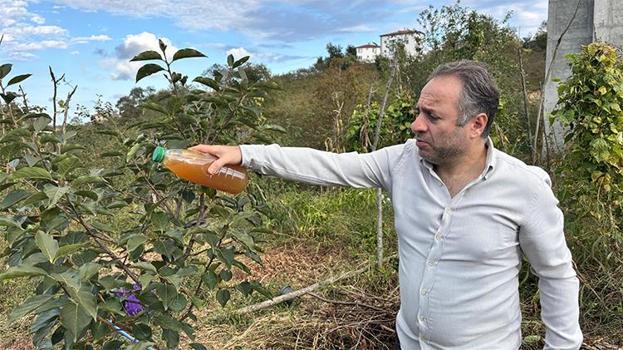 Kokarcaya karşı doğal formül! Soğan ve kadife çiçeğiyle mucize çözüm
