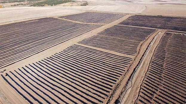 Yozgat'ta 400 dönümlük çilek projesi bölge ekonomisine can verecek