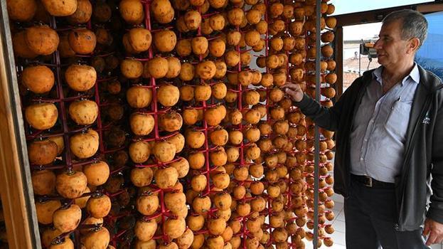 Çanakkaleli çiftçi sistemini kurdu! Kurutulan üründen 2 kat daha fazla kâr ediyor