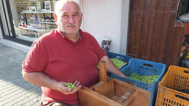 Balıkesir’de kırma zeytin mesaisi başladı! Tek tek kırılıp 2 haftada hazırlanıyor