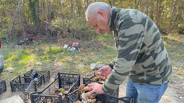 Istranca Ormanları'nda en kötü sezonu yaşanıyor! Kuraklık vurdu, fiyatı 500 TL'yi buldu: 'Geçen senenin yüzde 1'i bile yok'