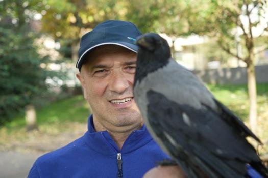 Otobüs kaptanıyla karganın 2,5 yıllık inanılmaz dostluğu! Şakir adını verdiği karga market alışverişini kendi yapıyor, çay içiyor!