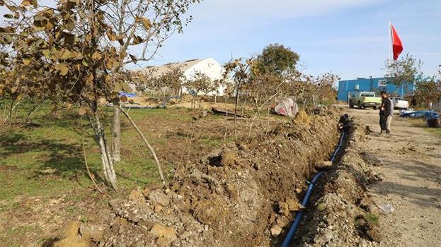 Ordu'da kuraklığa karşı yeni sistem! Fındıkta verimlilik artacak