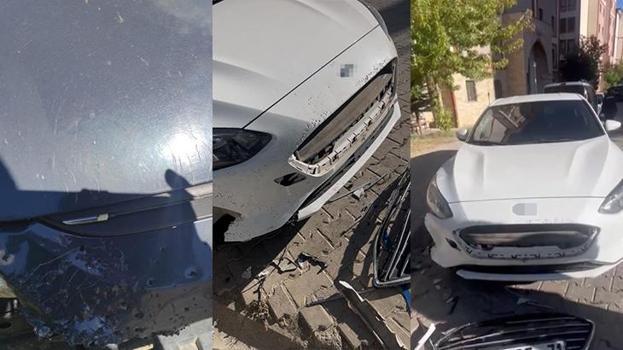 Sokak köpekleri ilçenin kabusu oldu! Otomobillere binlerce liralık zarar verdiler