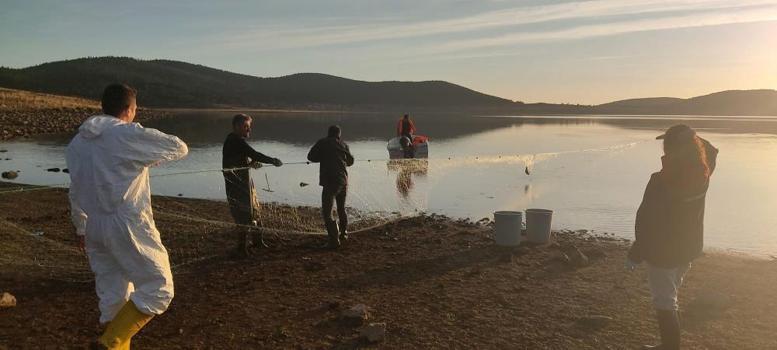 Bolu'da göletin dibinden çıktı! Tam 5 kilometre uzunluğunda: 500 balık canlı olarak kurtarıldı