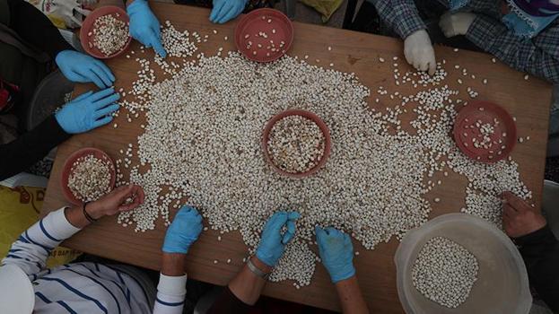 Erzincan'da üretildi, büyük restoran zincirleri peşine düştü! 10 yıllık emeğin ardından tescillendi, şimdi üretimi artırılacak