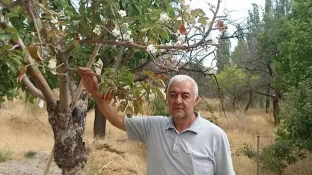 Sivas'ta tarlaya inen köylüler dondu, kaldı: Tam 7 metre, hayatımda ilk kez karşılaştım