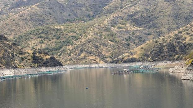 Diyarbakır'da tesisi kurdu 1 yıl sonra 500 ton üretti! 80 kafesle dünyaya ihraç ediyor