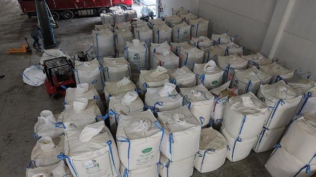 Çorum’da beyaz altın hasadı bitti! Kurutma süreciyle kazançlar artıyor