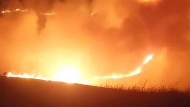 Kars'ta Ermenistan sınırında korkutan örtü yangını