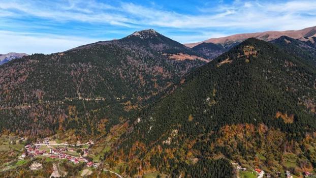 Karadeniz'in kalbine düştü! Altın değerinde: Hayran bırakıyor