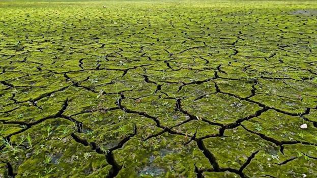 İstanbul'da barajlar kritik seviyede! Görüntüler endişe yarattı! İSKİ'den uyarı geldi