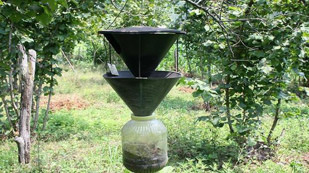 Bursalı vatandaşların kabusu oldu! Şimdiye kadar bildiklerimizin en tehlikelisi! Tüm Türkiye'ye yavaş yavaş yayılıyor!