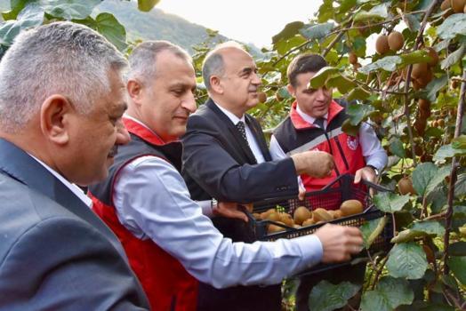 Kış mevsiminin en sevilen meyvesinde hasat başladı! Bir ilin ekonomisine dev katkı