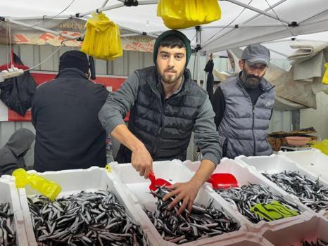 Hava şartları hamsi fiyatını yükseltti! 50 liradan 150 liraya çıktı