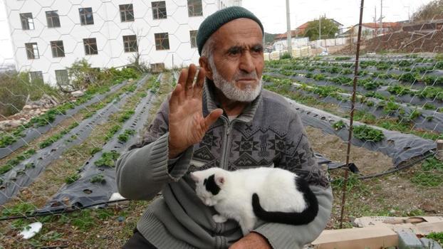 85 yaşındaki İbrahim dede kurdu! Yetiştirdiklerini ücretsiz ikram ediyor
