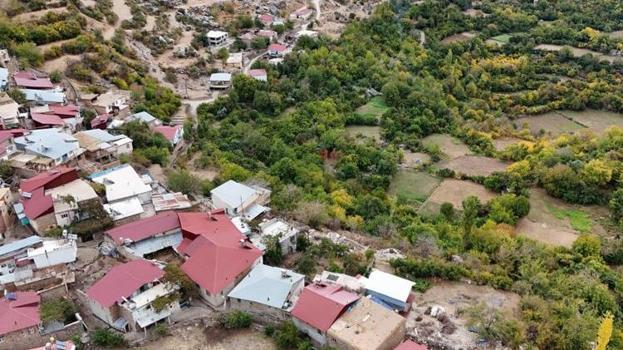 Diyarbakır'da köylüler tesadüfen keşfetti! 'Ya tutarsa' diye ektiler, hepsi topraktan çıktı