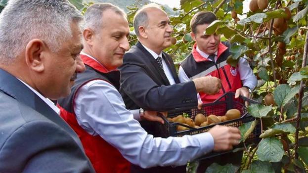 Ordu'da üretim patladı! Yıllar önce deneyince tuttu, 520 milyon TL'lik kazanç