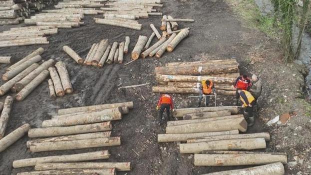 Düzce meydan okuyor! 13 bin ton ürünü dünyaya gönderdiler
