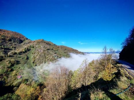 Düzce Pazar gününe sisle uyandı! Görüş mesafesi düştü