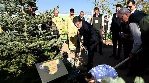 Milli Ağaçlandırma Günü’nde “yeşil” rekor! Bakan Yumakllı: 14 milyon 914 bin fidan toprakla buluştu