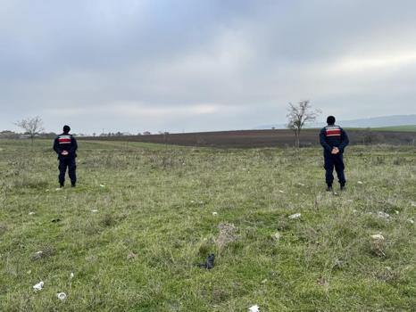 Mantar toplamaya çıktılar, hayatlarının sokunu yaşadılar