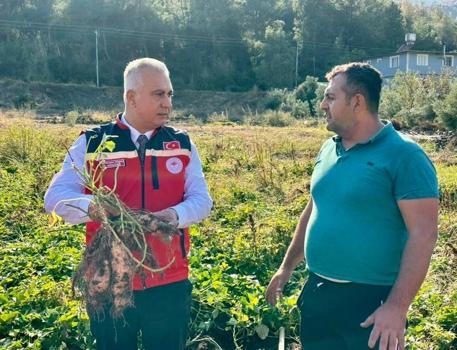 Hatay üretimde birinci sırada! Tüm Türkiye'nin ihtiyacının yüzde 53'ünü karşılıyor