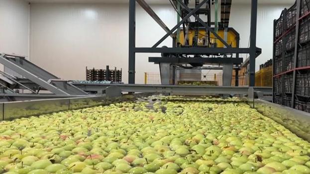 2 dağ arasında 50 çeşit üretiliyor! Dünyada 1 numara! Hasat bitti, üreticinin yüzü gülüyor