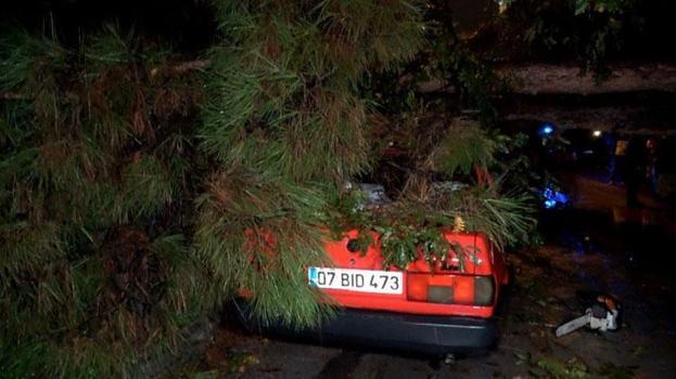 Sarı alarm verilen Antalya'da yağmur ve şiddetli rüzgar 10 metrelik ağaç devrildi