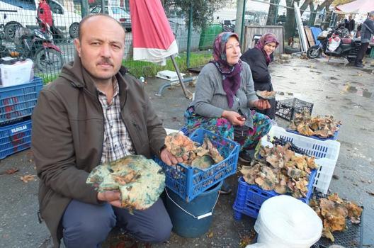 Bir yağmur yağdı, fiyatı 400 liradan 100 liraya düştü! Bu sezon bol bol tüketilecek