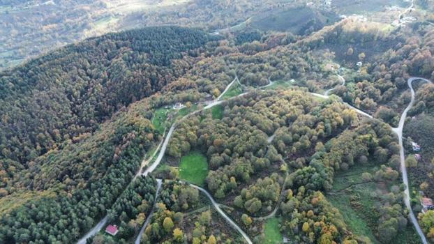 Düzce'nin dağlarında fark edildi: Kısmet deyince ortaya çıktı