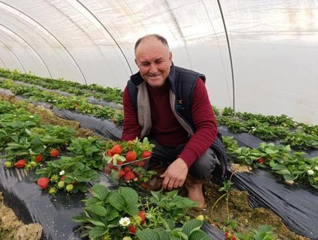 Manisa'dan çıktığı an kilosu 200 lira oluyor! Gaziantep, Diyarbakır, Şanlıurfa sırada bekliyor