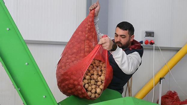 Tokat'ta devlet desteğiyle kurdu, 2 katına çıkardı! Tonlarca üretiyor, paraya para demiyor