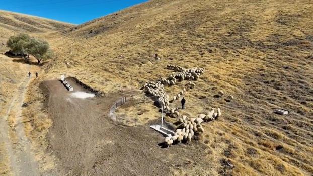 Niğde'de herkes kazanacak: 17 bin dönüm alanda yapıldı!