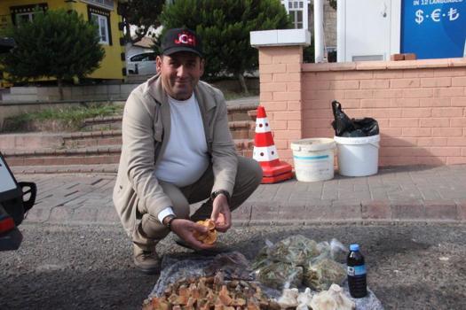 Yağmurun fiyatını en çok etkilediği ürün bu! Kilosu 300 liradan satılıyor