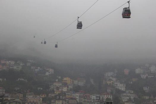 Ordu'da doğadan nasibini aldı: 530 metre yükseklikte görüldü