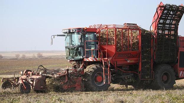 Ermenistan sınırında ekonomiye 13 bin tonluk katkı: 94 bin ton pancar kristal şekere dönüştü