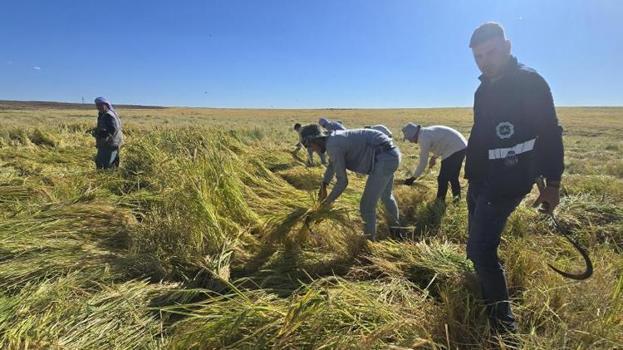 Kimse bilmiyor, Diyarbakır'da kocası sayesinde keşfetti! 6 yıl bekleyince ortaya çıkıyor